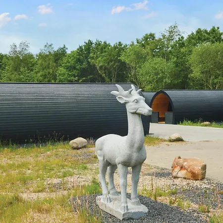 Gorgeous In Apartment